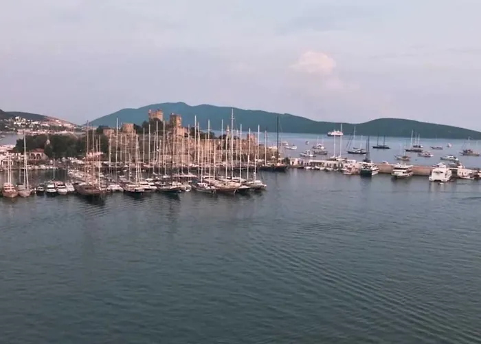 Tosunpasa Hookah Lounge Kafe Restroran Ve Turizm Otelcilik *