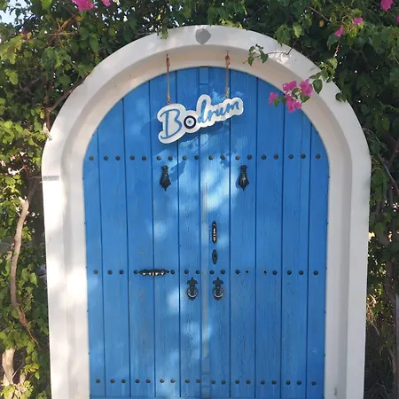 Tosunpasa Hookah Lounge Kafe Restroran Ve Turizm Otelcilik Bodrum